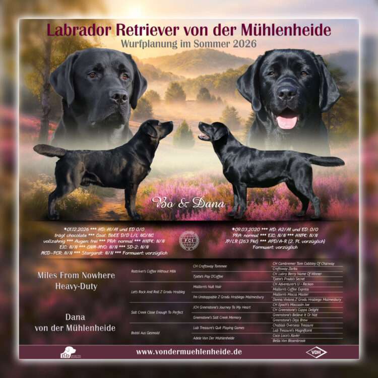 G-Wurfplanung von der Mühlenheide